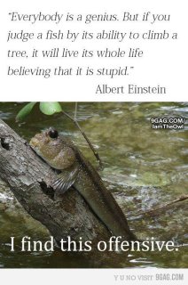 Ad ognuno il proprio genio